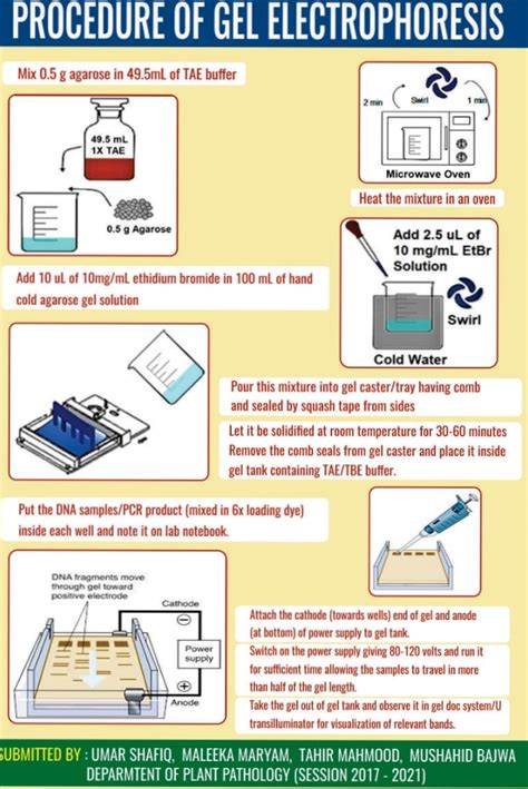 Standard Operating Procedure (SOP) for Gel Electrophoresis .